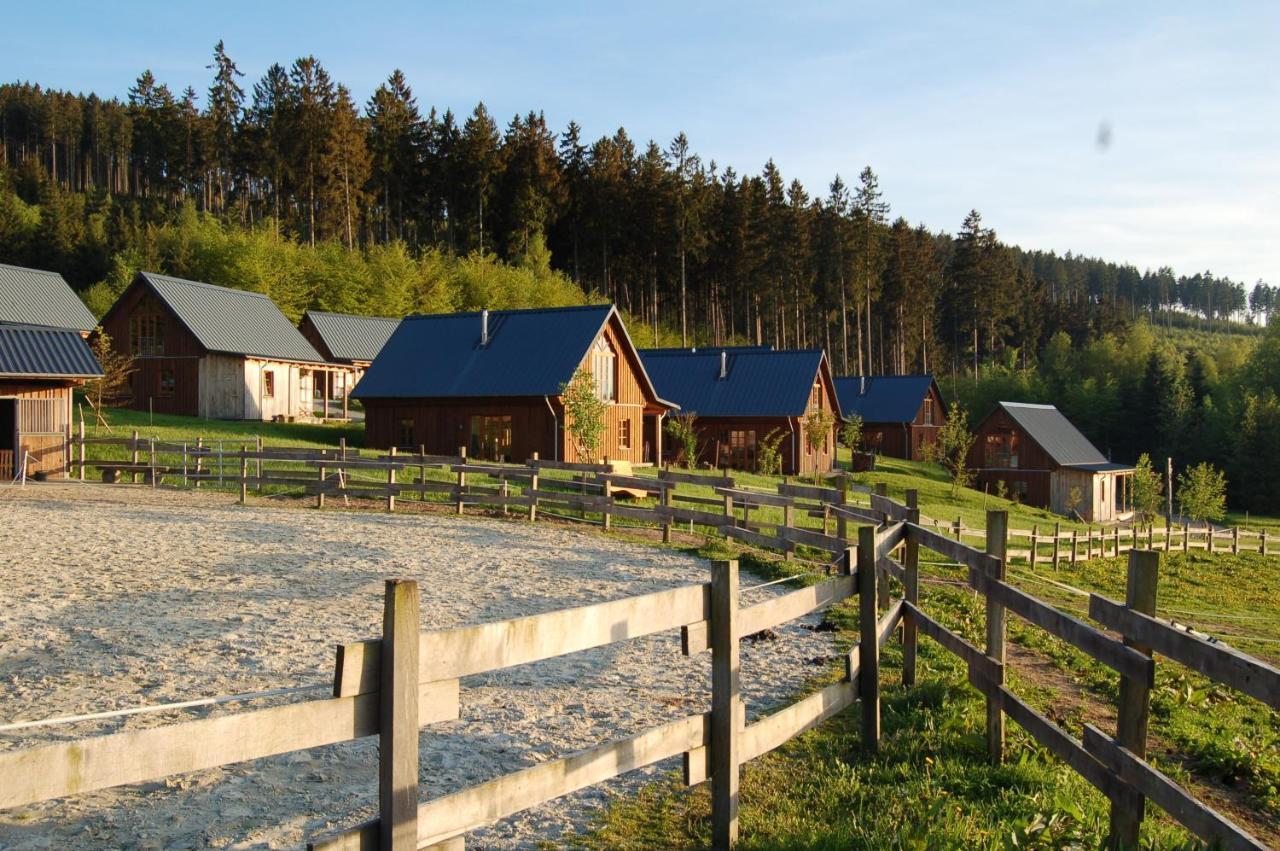 Bergdorf Liebesgruen Otel Schmallenberg Dış mekan fotoğraf